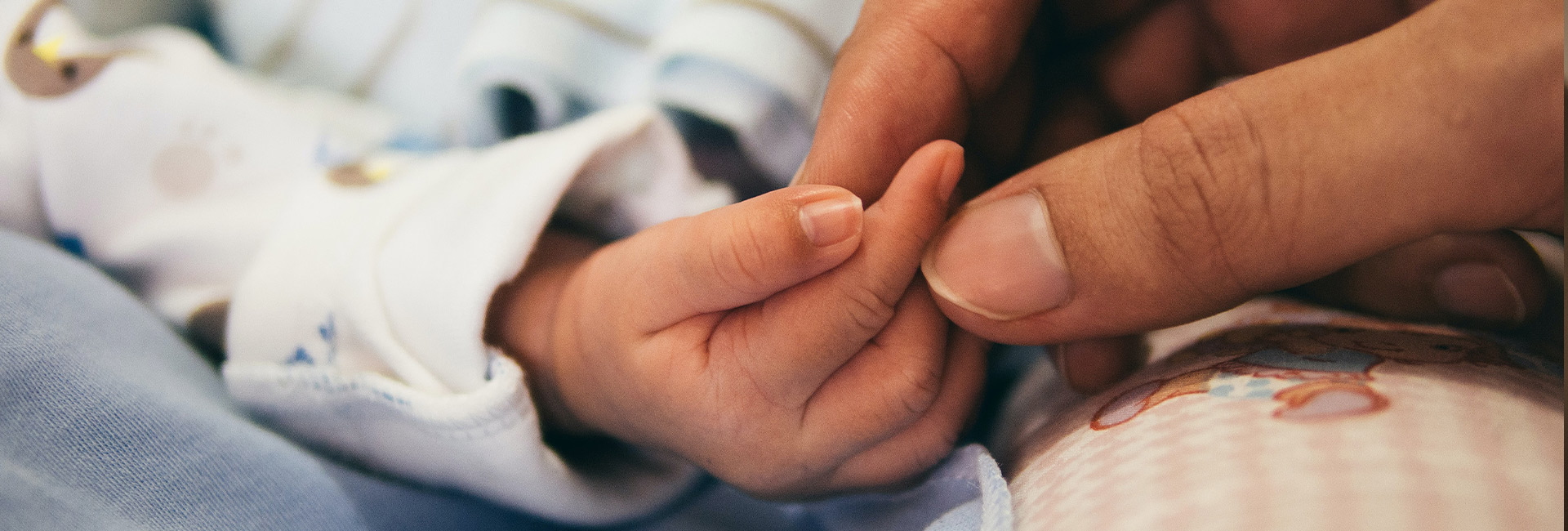 Baby and parent hands