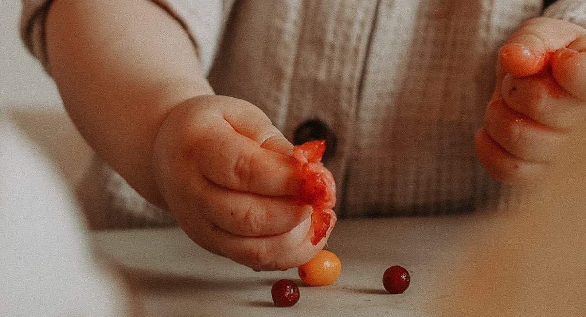 baby hands holding berries